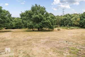 Ferndown Common- click for photo gallery